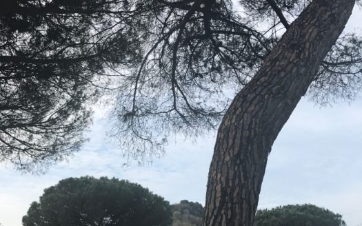 Villa le Serre