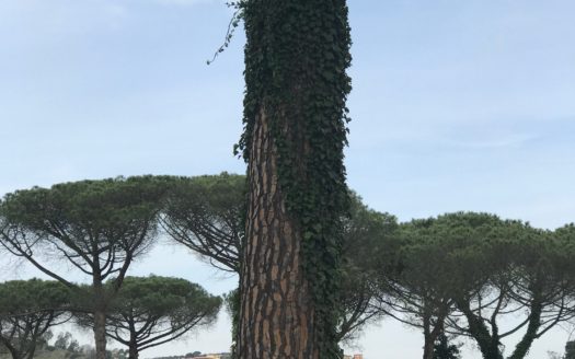 Villa le Serre