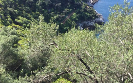 Villa Saint Jean – Cap Ferrat
