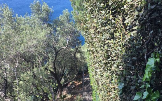 Villa Saint Jean – Cap Ferrat